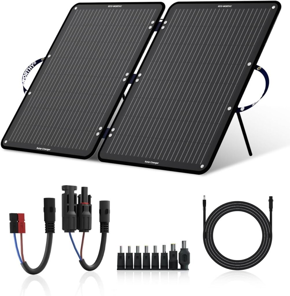 ECO-WORTHY Placa Solar 100W 12V Panel Solar Portatil Plegable con Soporte Ajustable, Cable PV (9,84 pies), Adaptador de 4 CC para la mayoría de centrales de energía, autocaravanas, caravanas